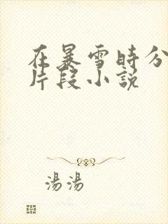 在暴雪时分高能片段小说