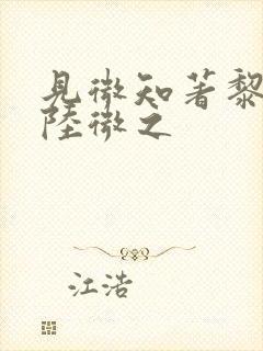 见微知著黎见卿陆微之