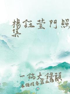 杨钰莹门照艳全集