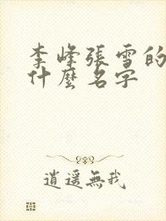 李峰张雪的书叫什么名字