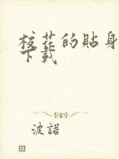 校花的贴身保镖下载