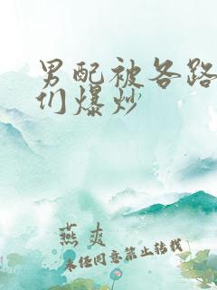 男配被各路大佬们爆炒