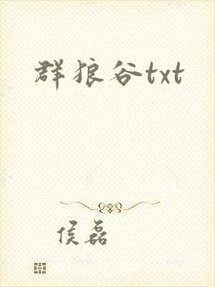 群狼谷txt