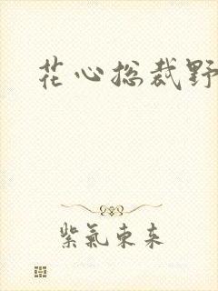 花心总裁野蛮妻