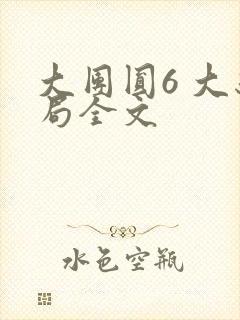 大团圆6 大结局全文