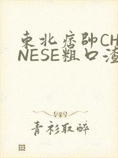 东北痞帅CHINESE粗口渣男