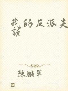 我的反派夫君小说