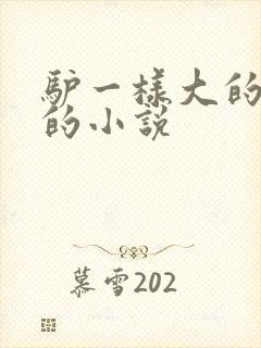 驴一样大的凶器的小说