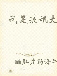 我是流氓大律师