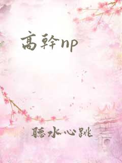 高干np