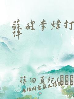 苏醒李炜打架事件