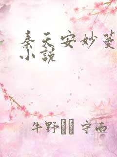 秦天安妙菱修仙小说