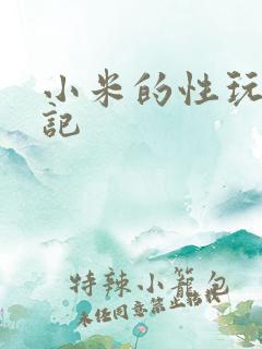 小米的性玩具日记