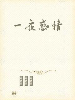 一夜惑情