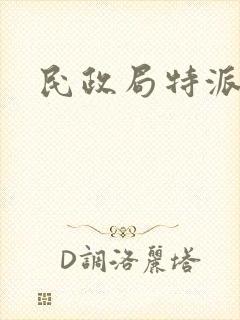 民政局特派对象