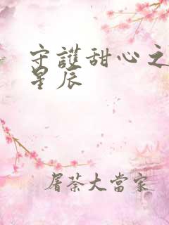 守护甜心之暗夜星辰