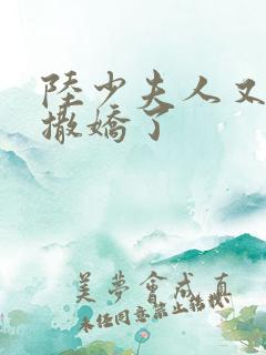 陆少夫人又双叒撒娇了