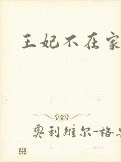 王妃不在家
