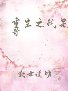 重生之我是大帅哥