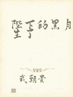 陛下的黑月光重生了