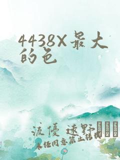 4438X最大的色