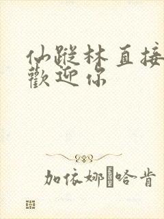 仙踪林直接入口欢迎你