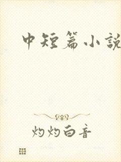 中短篇小说集