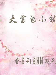 大书包小说