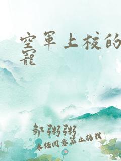 空军上校的邪魅宠