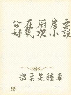 公在厨房要了我好几次小说