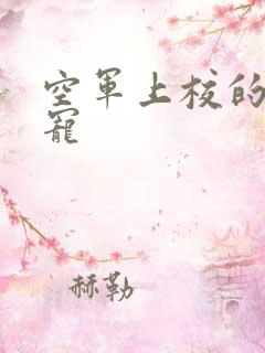 空军上校的邪魅宠