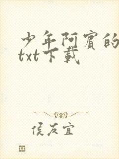 少年阿宾的故事txt下载