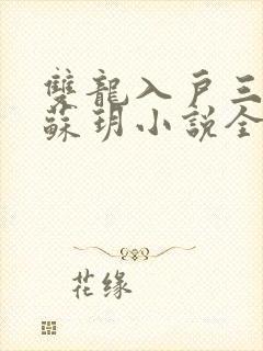 双龙入户三人行苏玥小说全文阅读