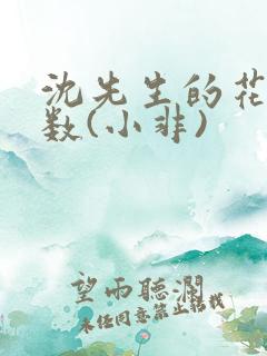 沈先生的花式调数(小非)