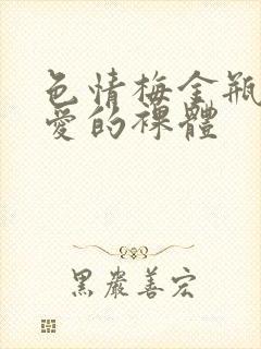 色情梅金瓶2之爱的裸体