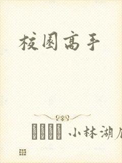 校园高手