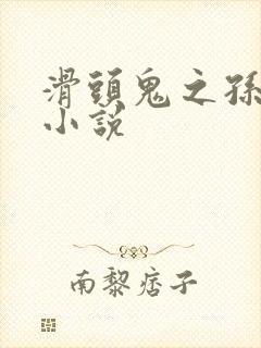 滑头鬼之孙官方小说