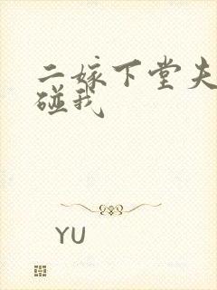 二嫁下堂夫君别碰我