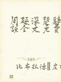 周延深楚辞的小说全文免费阅读