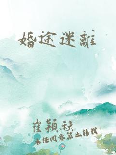 婚途迷离