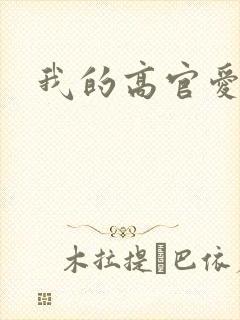 我的高官爱人