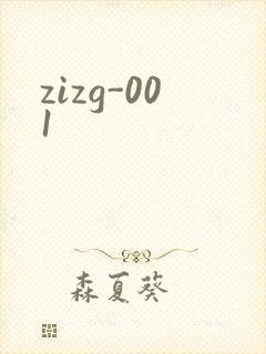 zizg-001