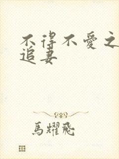 不得不爱之冷少追妻