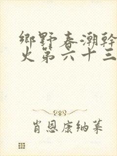 乡野春潮干柴烈火第六十三章