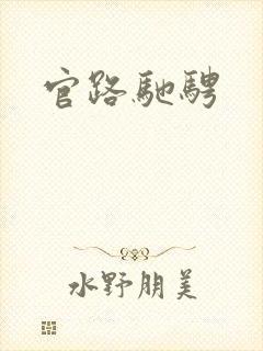 官路驰骋