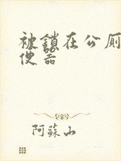 被锁在公厕当坐便器