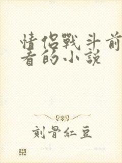 情侣战斗前适合看的小说