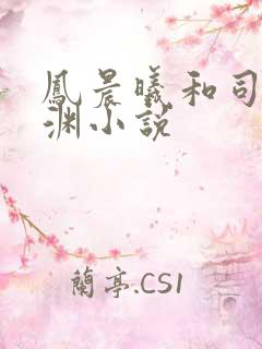凤晨曦和司鸿颜渊小说