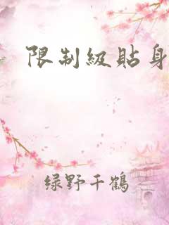 限制级贴身高手