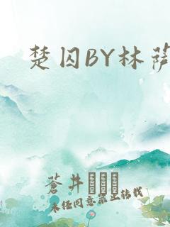 楚囚BY林萨